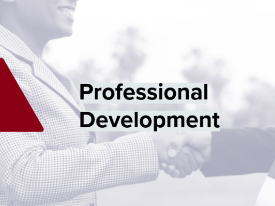 Title "Professional Development" over a shot of a handshake, with a red triangle 