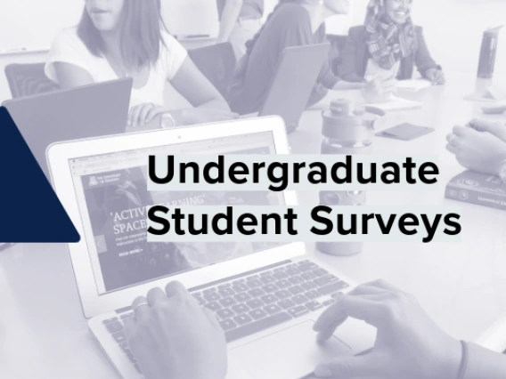 Undergraduate Student Surveys