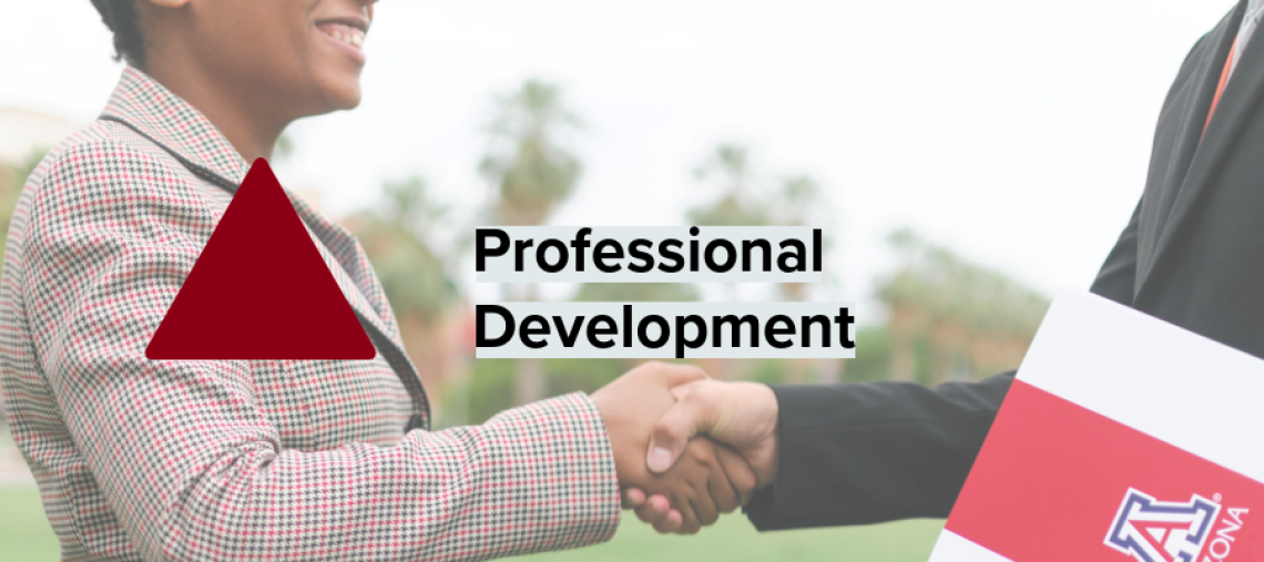 Title "Professional Development" over a shot of a handshake, with a red triangle 