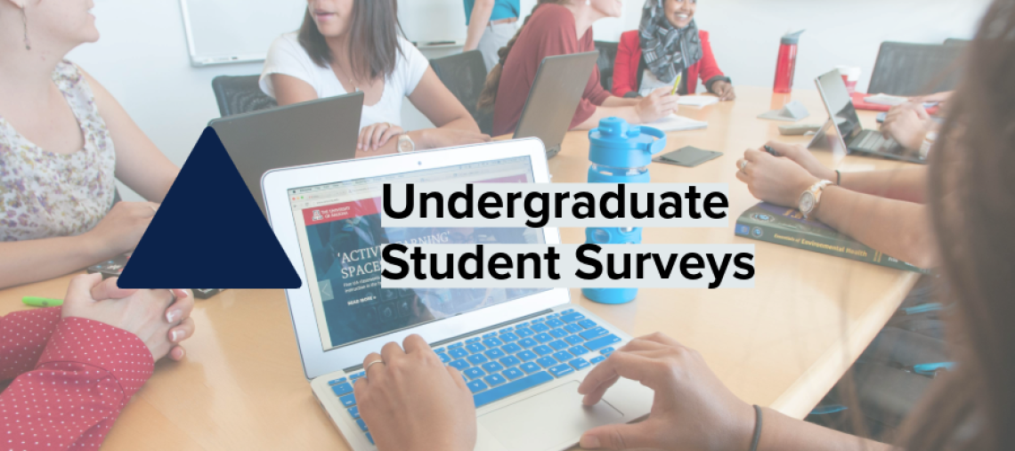 Undergraduate Student Surveys