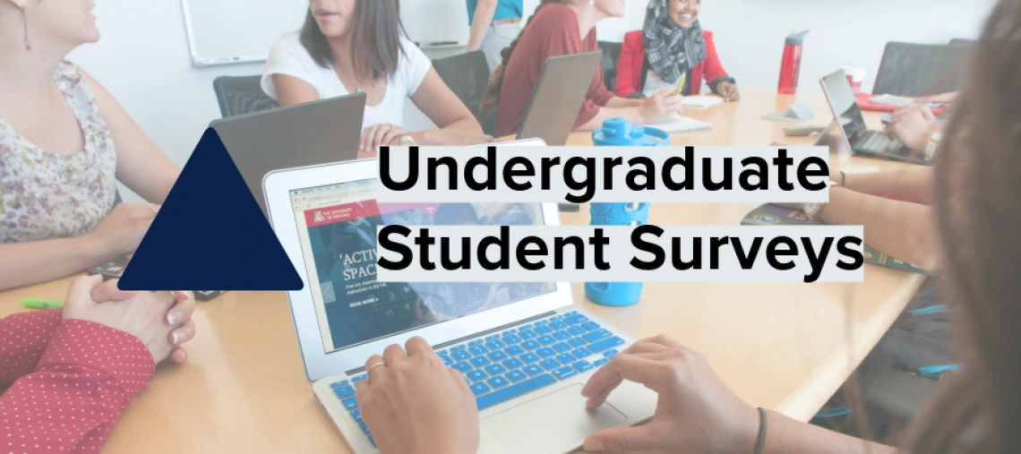 Undergraduate Student Surveys